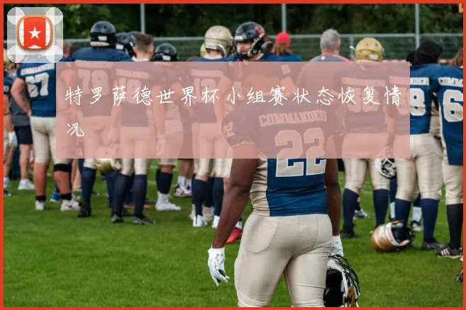 特罗萨德世界杯小组赛状态恢复情况