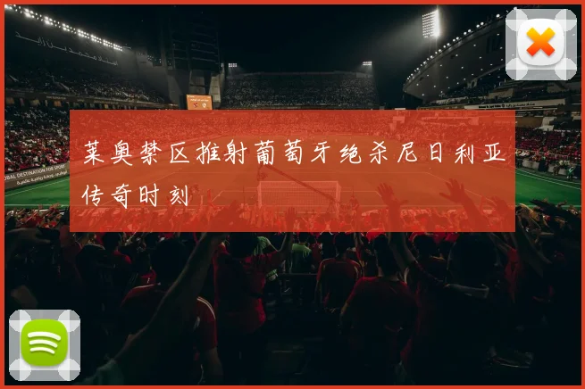 莱奥禁区推射葡萄牙绝杀尼日利亚传奇时刻