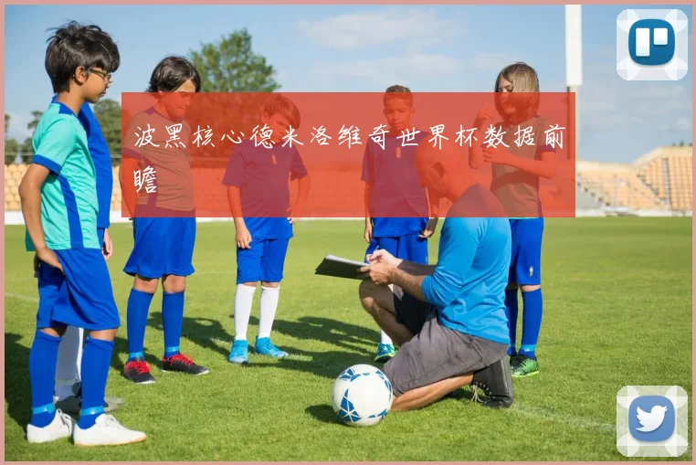 波黑核心德米洛维奇世界杯数据前瞻