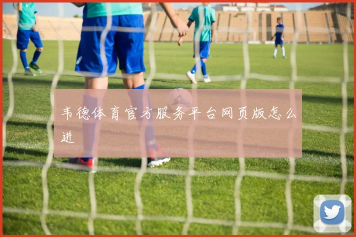 韦德体育官方服务平台网页版怎么进