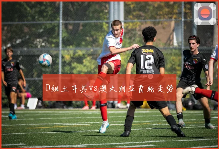 D组土耳其vs澳大利亚首轮走势
