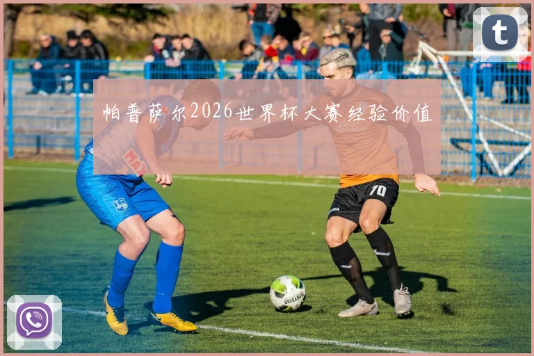 帕普萨尔2026世界杯大赛经验价值