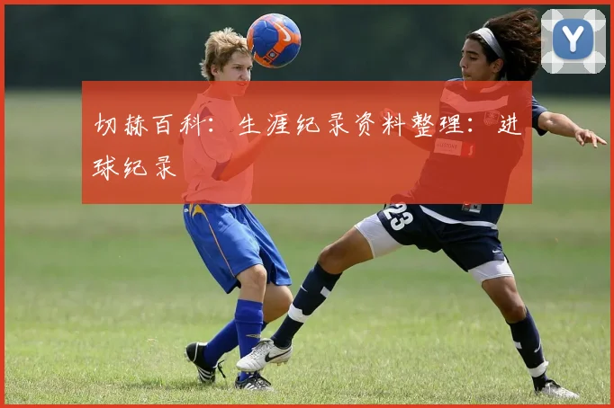 切赫百科:生涯纪录资料整理:进球纪录